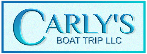 Carly's Boat Trip